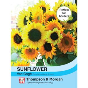 Thompson & Morgan Sunflower Van Gogh
