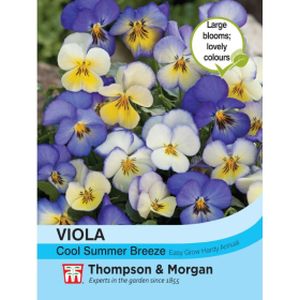 Thompson & Morgan Viola Cool Summer Breeze - Takii Mixed