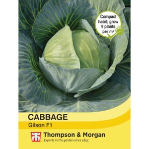 Thompson & Morgan Cabbage Gilson