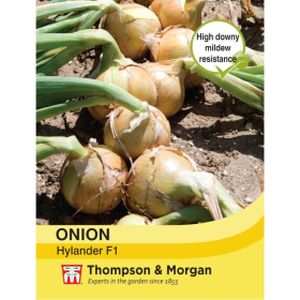 Thompson & Morgan Onion Hylander