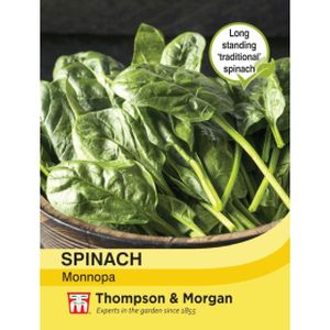 Thompson & Morgan Spinach Monnopa