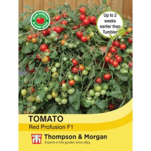 Thompson & Morgan Tomato Red Profusion