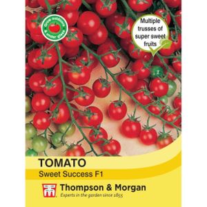 Thompson & Morgan Tomato Sweet Success