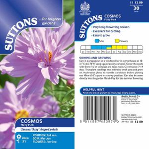 Suttons Cosmos Fizzy Pink