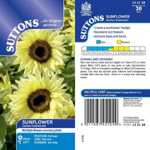Suttons Sunflower Garden Statement Seeds