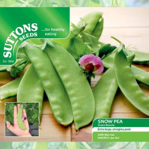 Suttons Snow Pea Green Beauty