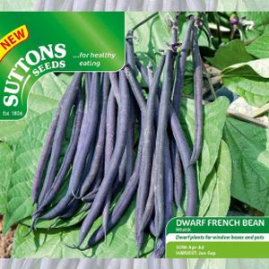 Suttons Dwarf French Bean Mistik