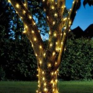 Smart 50 Led Firefly String Lights