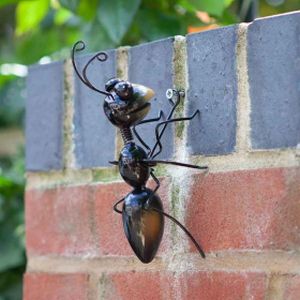 Smart Ants Medium Hangers On