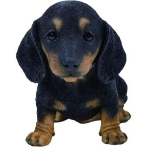 Vivid Arts Dachshund Puppy - Brown & Black