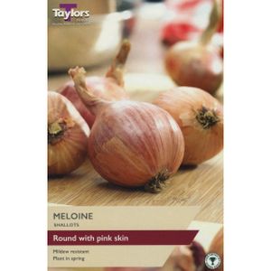 Taylors French Shallot Meloine