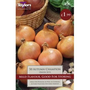 Taylors Onion Autumn Champion