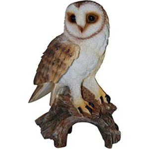 Vividarts Barn Owl Plant Pal Box/8 (Plp-106)