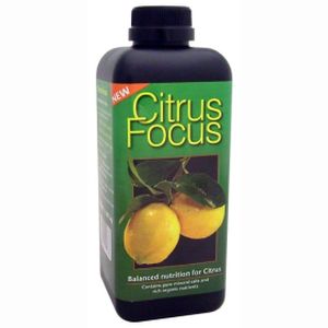 Growth Citrus Focus 100ml