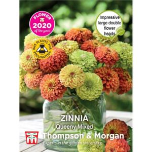 Thompson & Morgan Zinnia Queeny Mixed Seeds