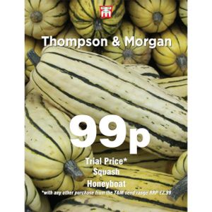 Thompson & Morgan Squash Honeyboat