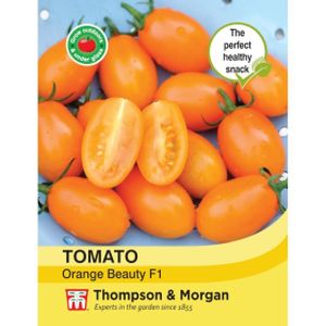 Thompson & Morgan Tomato Orange Beauty F1 Hybrid