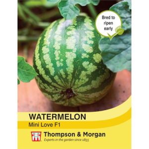 Thompson & Morgan Watermelon Mini Love F1 Hybrid