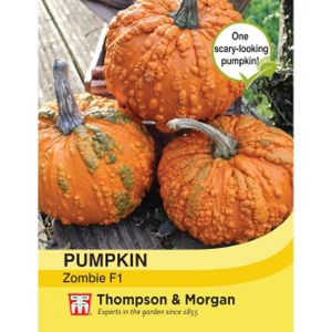 Thompson & Morgan Pumpkin Zombie F1 Hybrid