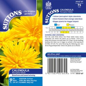 Suttons Calendula* - Porcupine Yellow