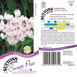 Suttons Sweet Pea-Lavendar Bridesmaid