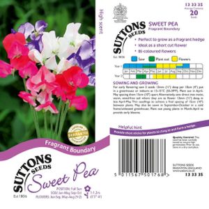 Suttons Sweet Pea  - Fragrant Boundary Seeds