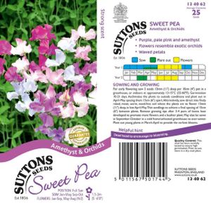 Suttons Sweet Pea - Amethyst & Orchids Seeds