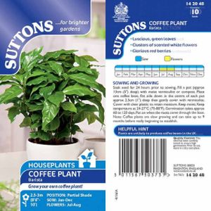 Suttons Houseplant  - Barista Seeds