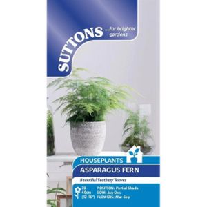 Suttons Houseplant  - Asparagus Fern