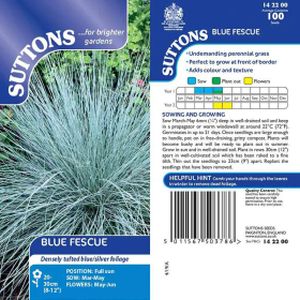 Suttons Prairie  - Blue Fescue Seeds