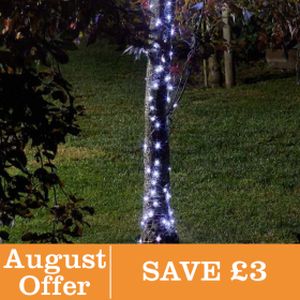 100 Cool White Firefly String Lights