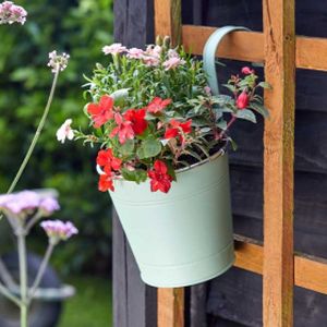Smart Garden 6 inch Fence & Balcony Hanging Pot - Sage