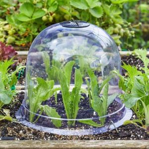 Smart Bell Cloche Large