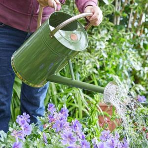 Smart Watering Can 9l Sage