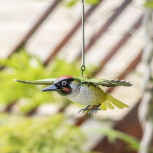 La Hacienda Woodpecker In Flight