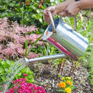 Smart Watering Can 4.5l Galv Steel