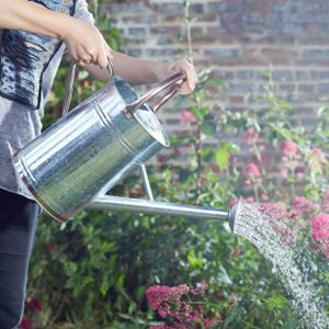 Smart Garden Galvanised Steel Watering Can - 9L