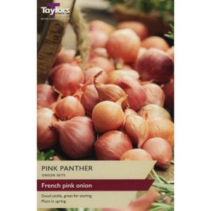 Taylors Onion Pink Panther