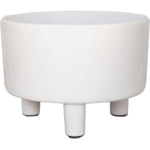 Ivyline Pisa White Bowl, 19cm