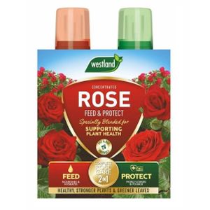 Westland Rose 2in1 Feed & Protect