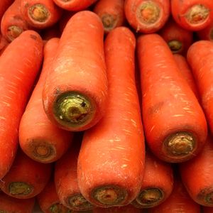 Carrot 'Chantenay' Multi-Pack