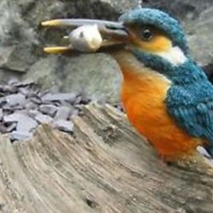Vivid Kingfisher on Driftwood F
