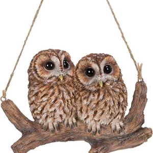Vivid Hanging Tawny Owls on Branch