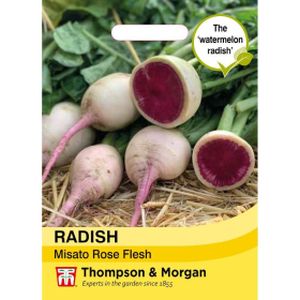 Thompson & Morgan Radish Misato Rose Flesh