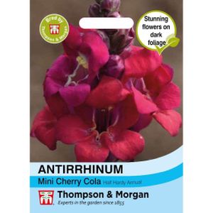 Thompson & Morgan Antirrhinum Mini Cherry Cola Seeds