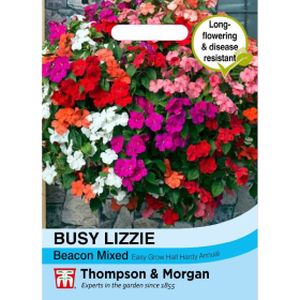 Thompson & Morgan Busy Lizzie Beacon Mixed Seeds