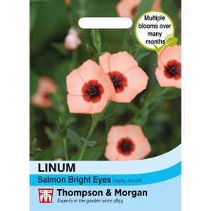 Thompson & Morgan Linum Salmon Bright Eyes Seeds