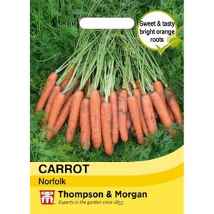 Thompson & Morgan Carrot Norfolk