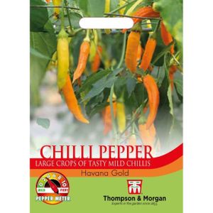 Thompson & Morgan Pepper Chilli Havana Gold