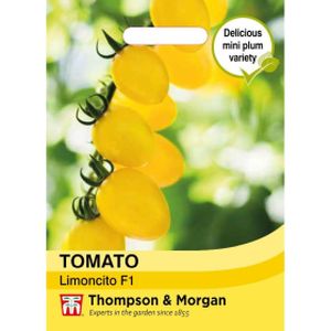 Thompson & Morgan Tomato Limoncito F1